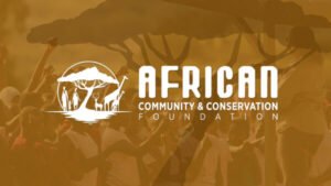 accf thumbnail 600x338